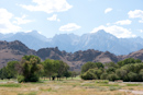 Mt. Whitney